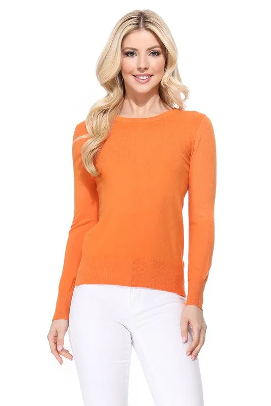 Crew Neck Long Sleeve Light Basic Casual Knit Top