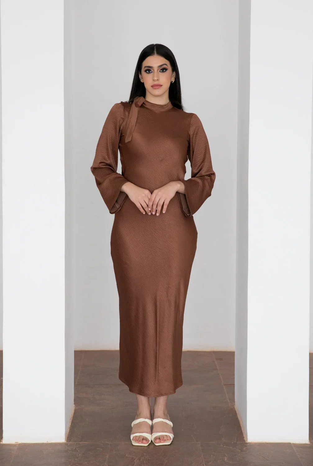 Mocha Dress